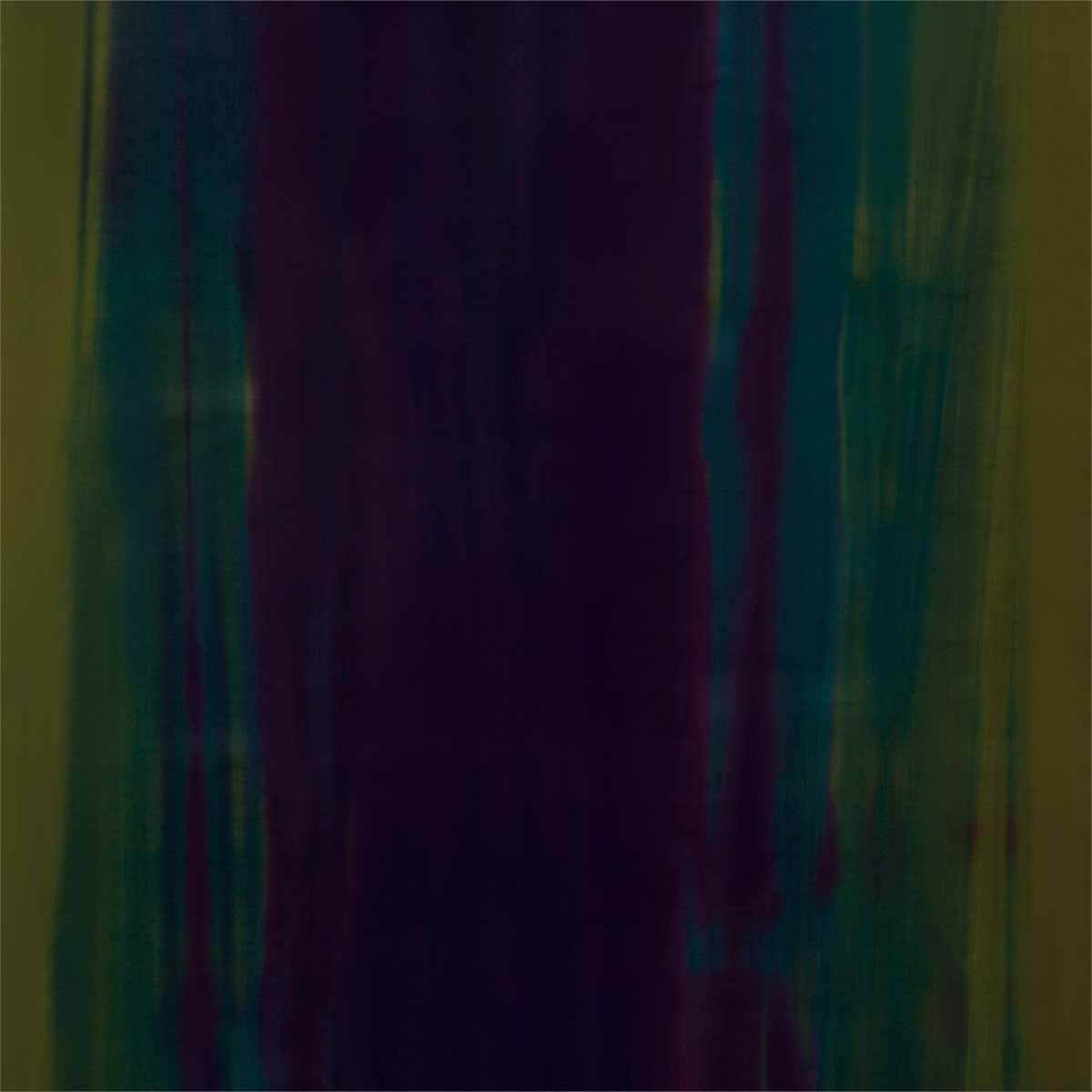 Amazilia Velvets 131506