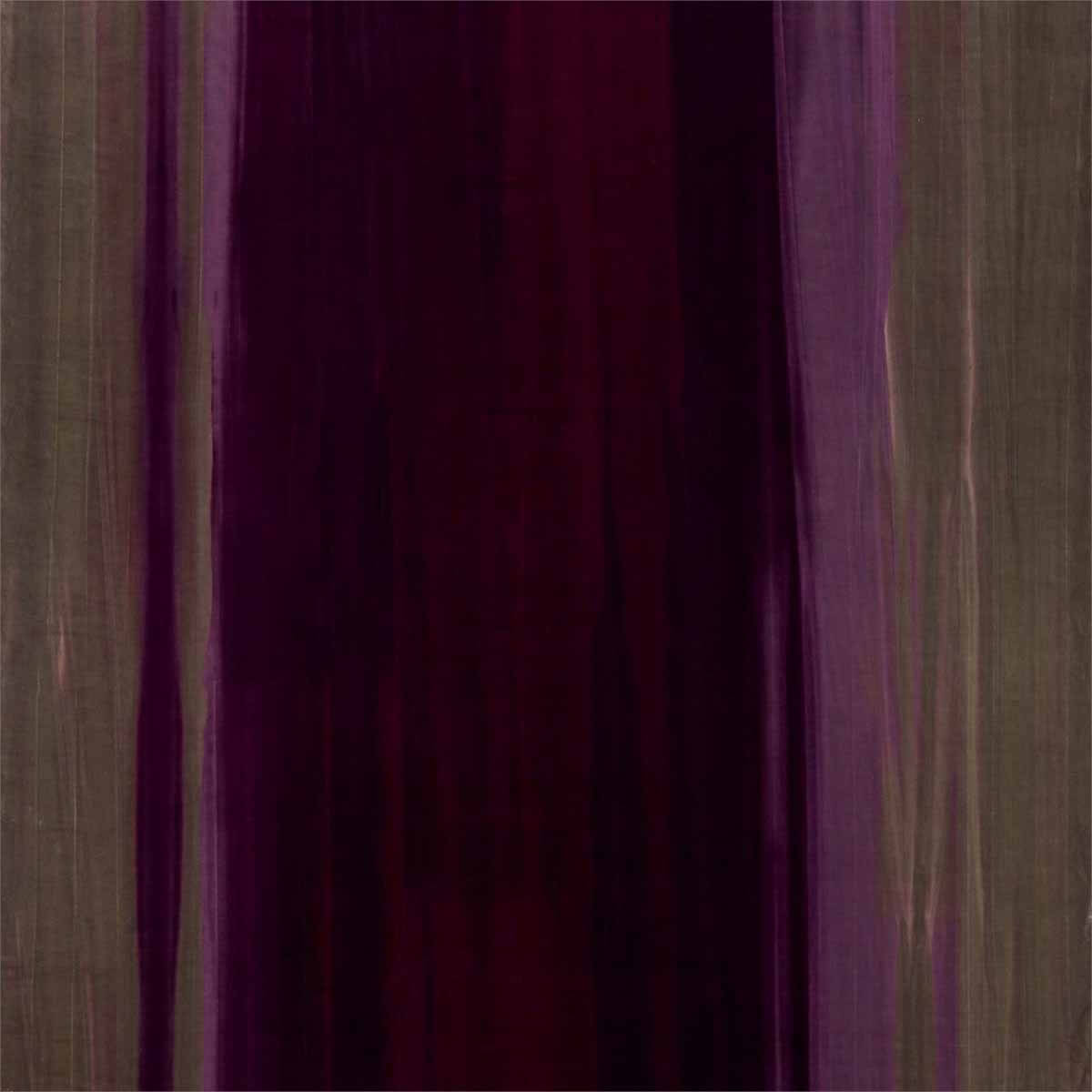 Amazilia Velvets 131511