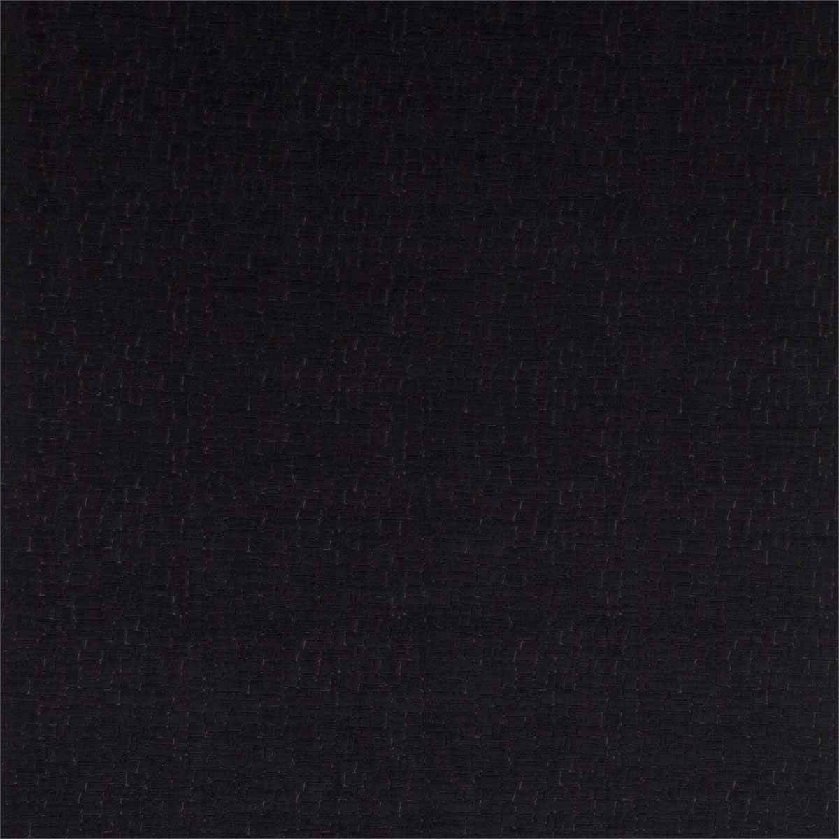 Ascent HOT04419
