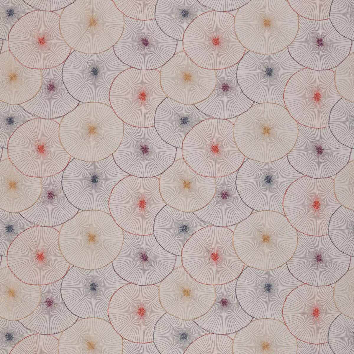 Aster 131588