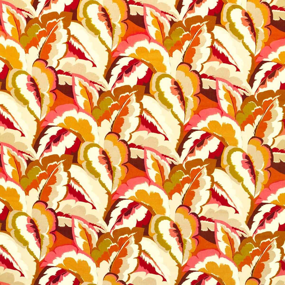 Calathea 121136