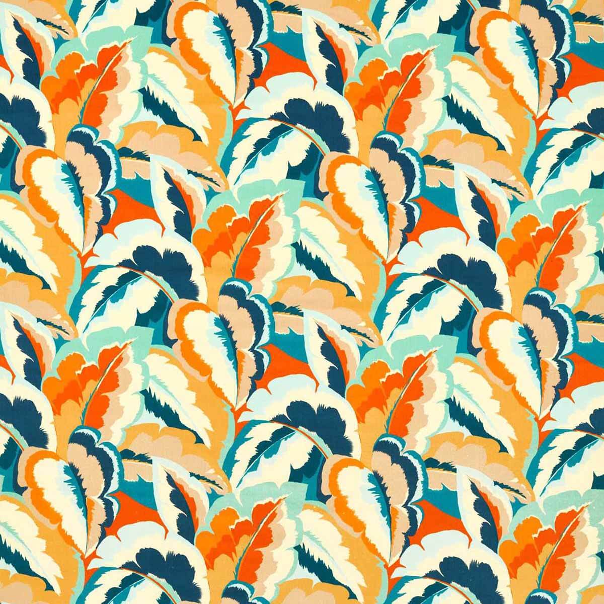 Calathea 121138