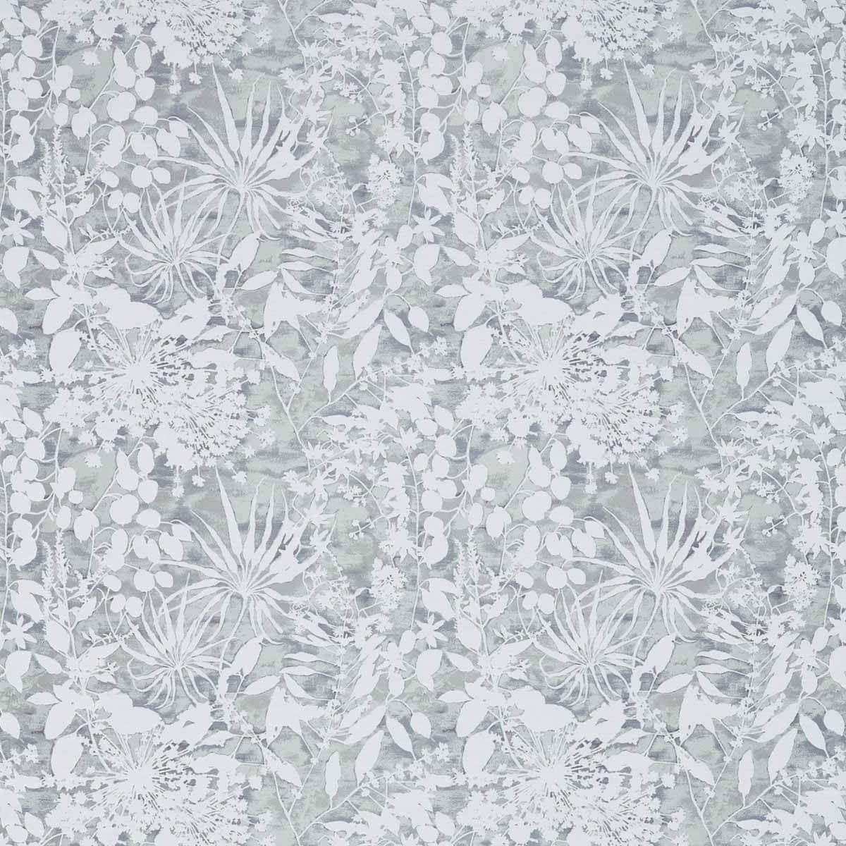 Coralline 132296