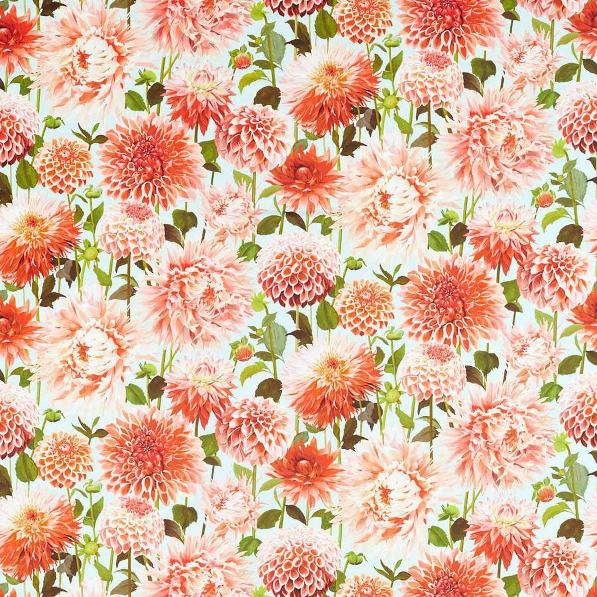 Dahlia 121083