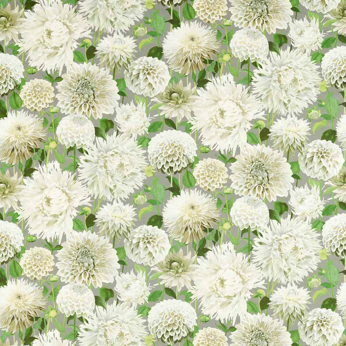 Dahlia 121085