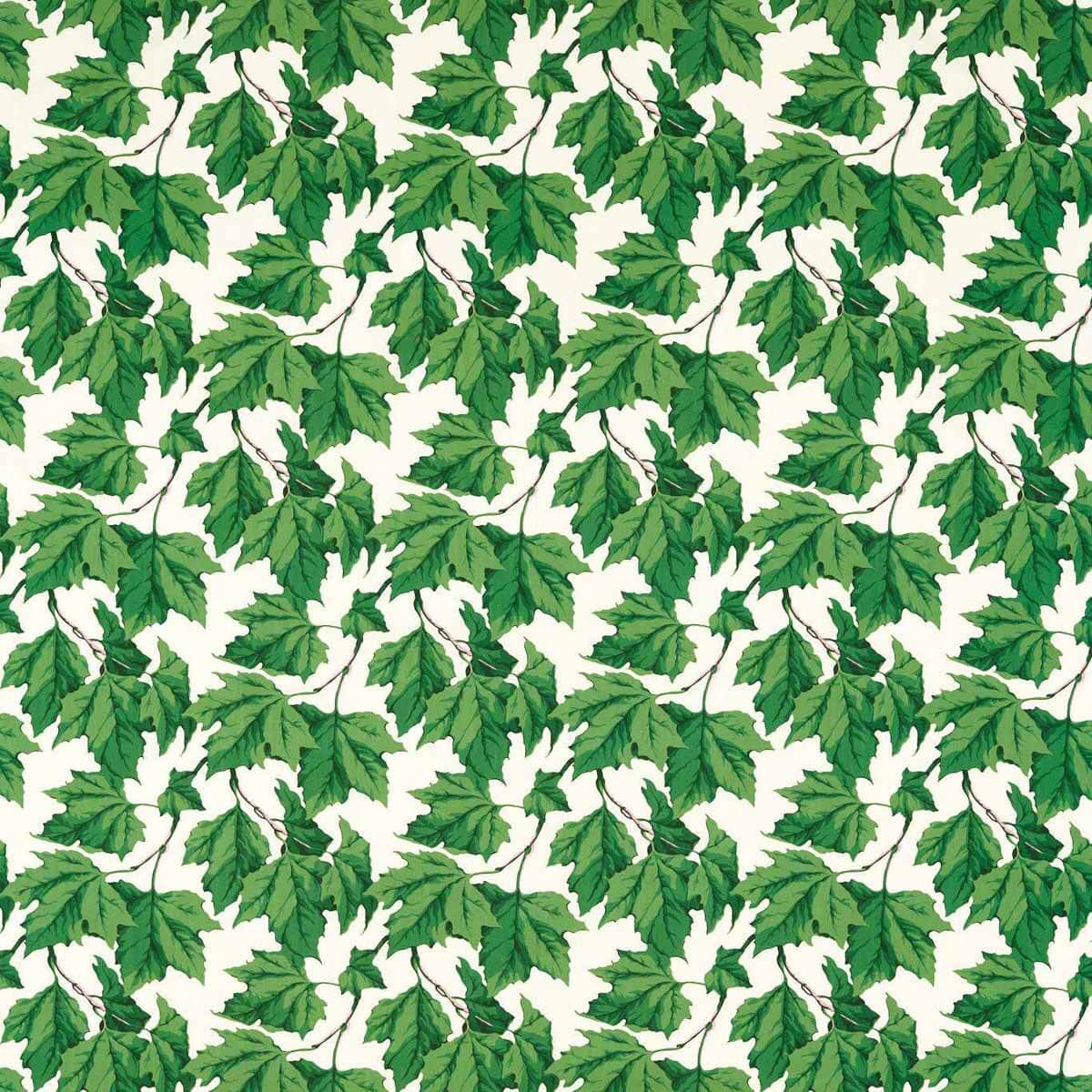 Dappled Leaf 121188