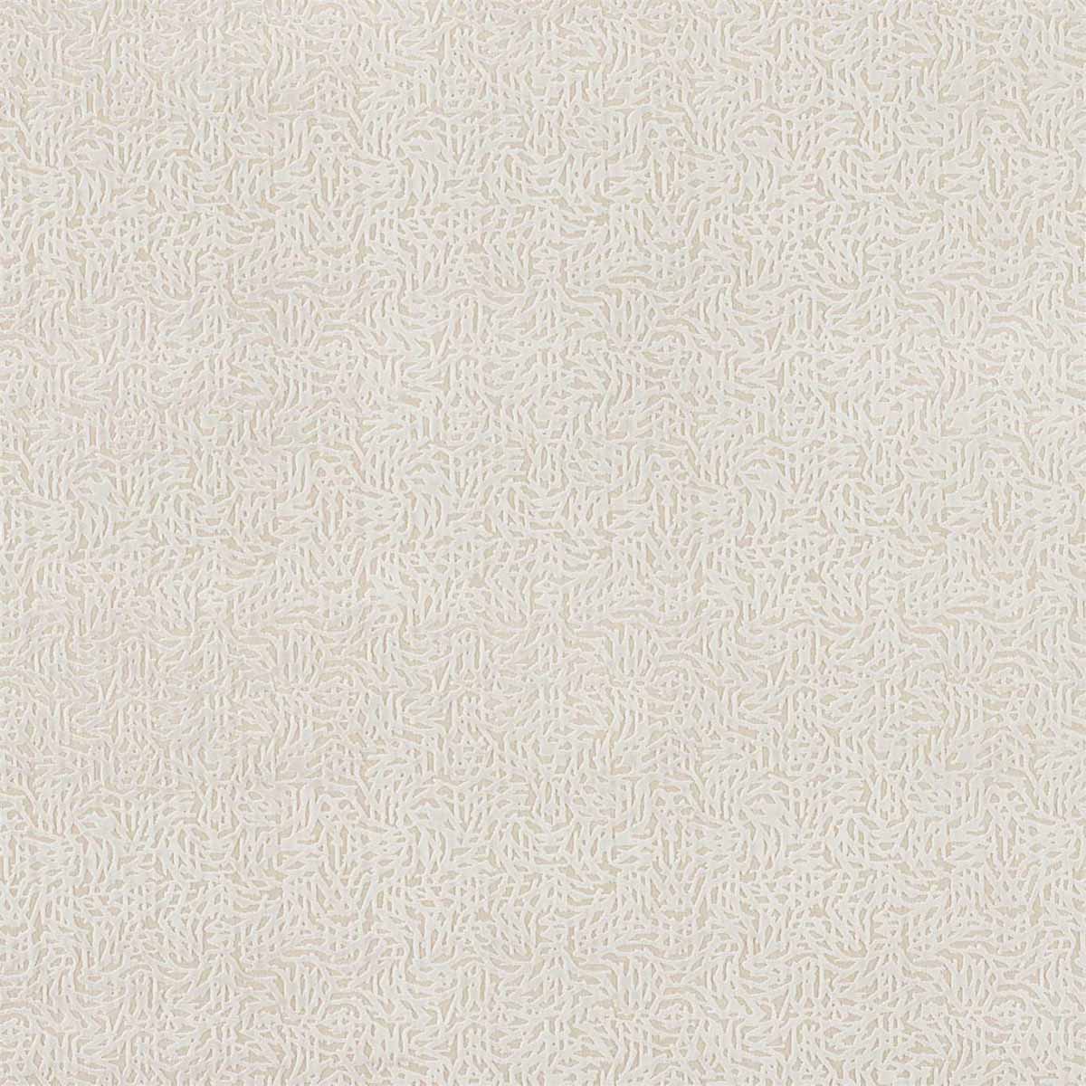 Dentella 132679
