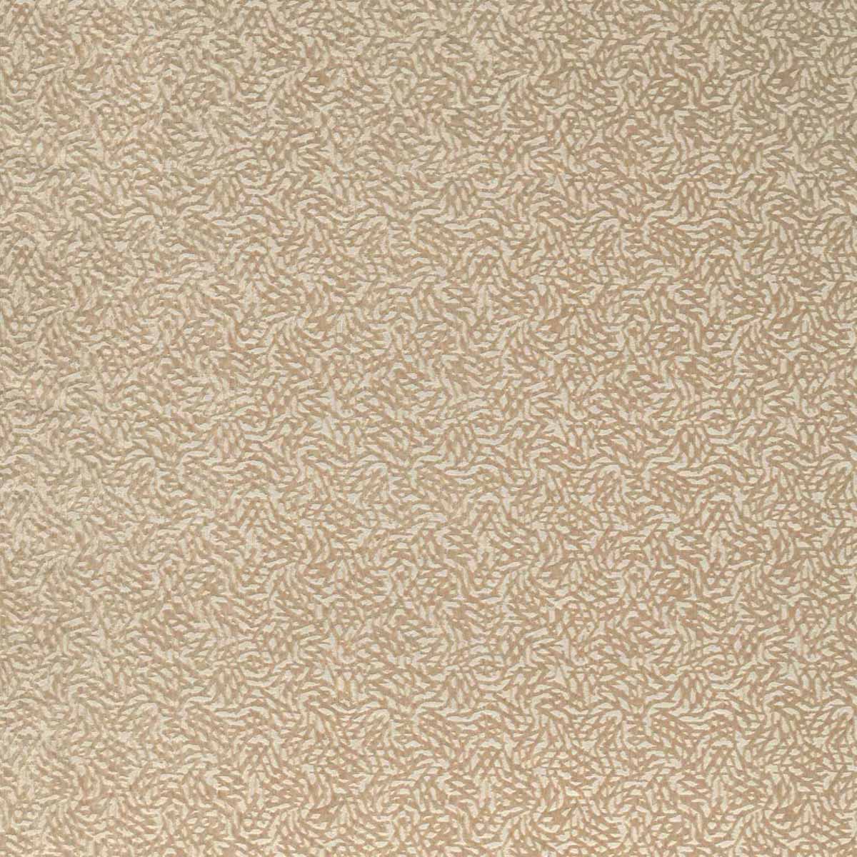 Dentella 132680