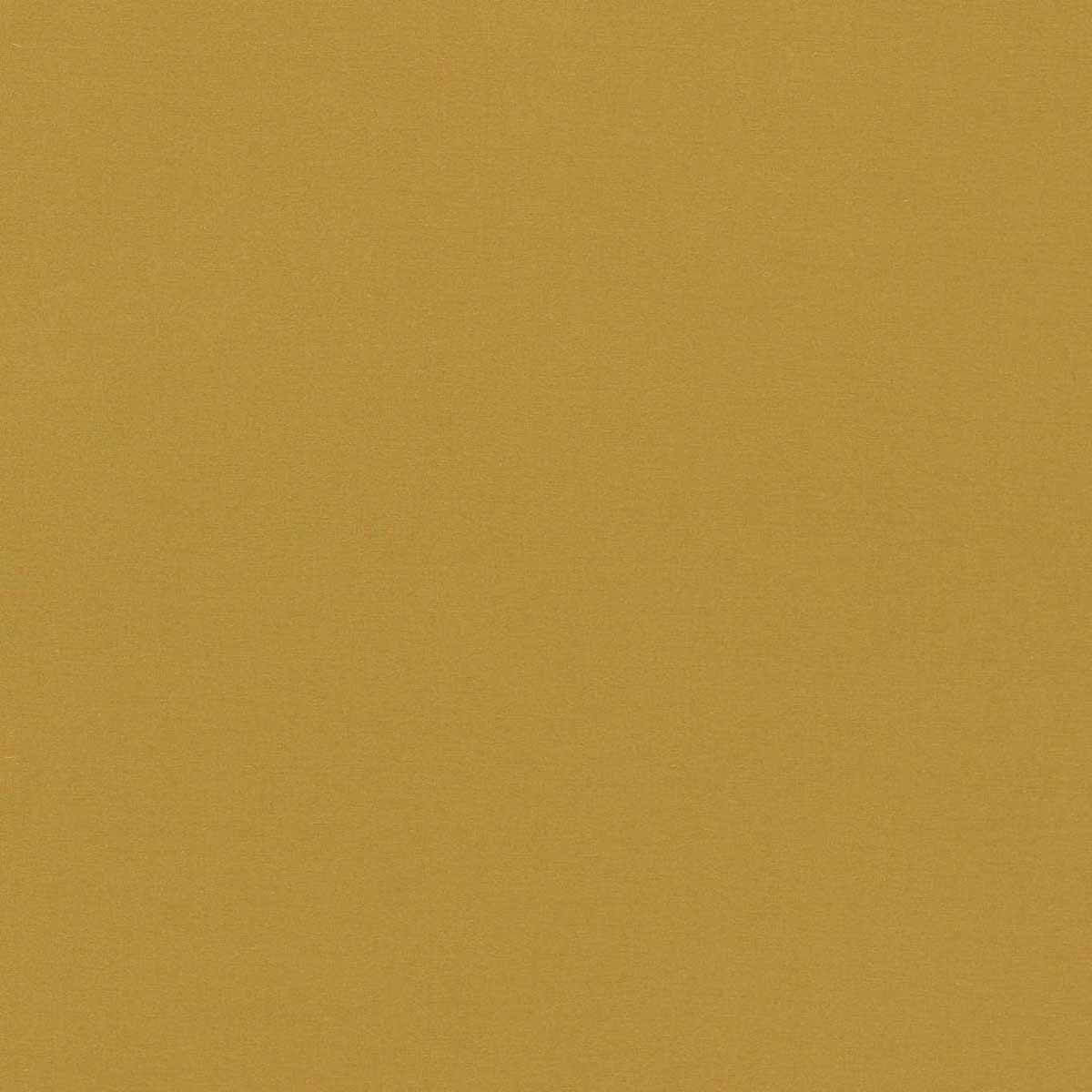 Empower Plain 133599