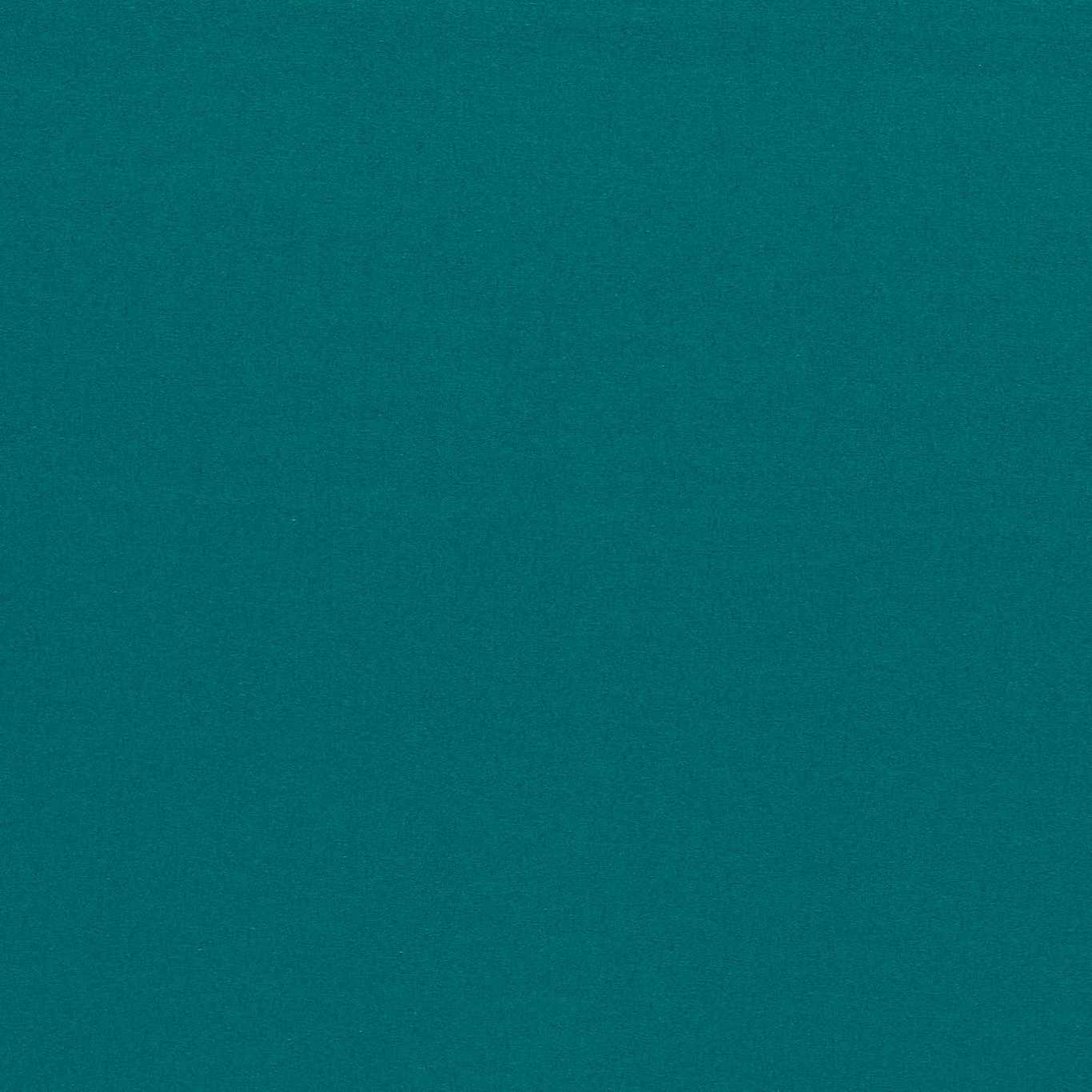 Empower Plain HMOC133585