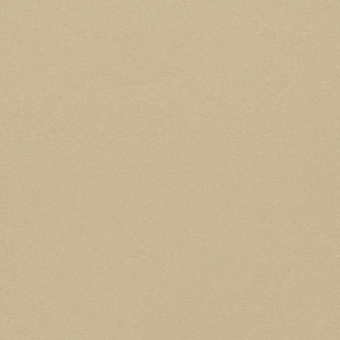 Empower Plain HMOC133611