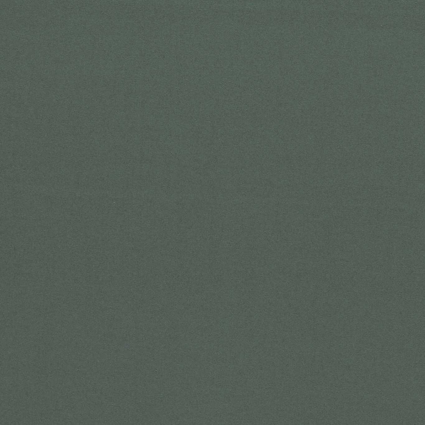 Empower Plain HMOC133583