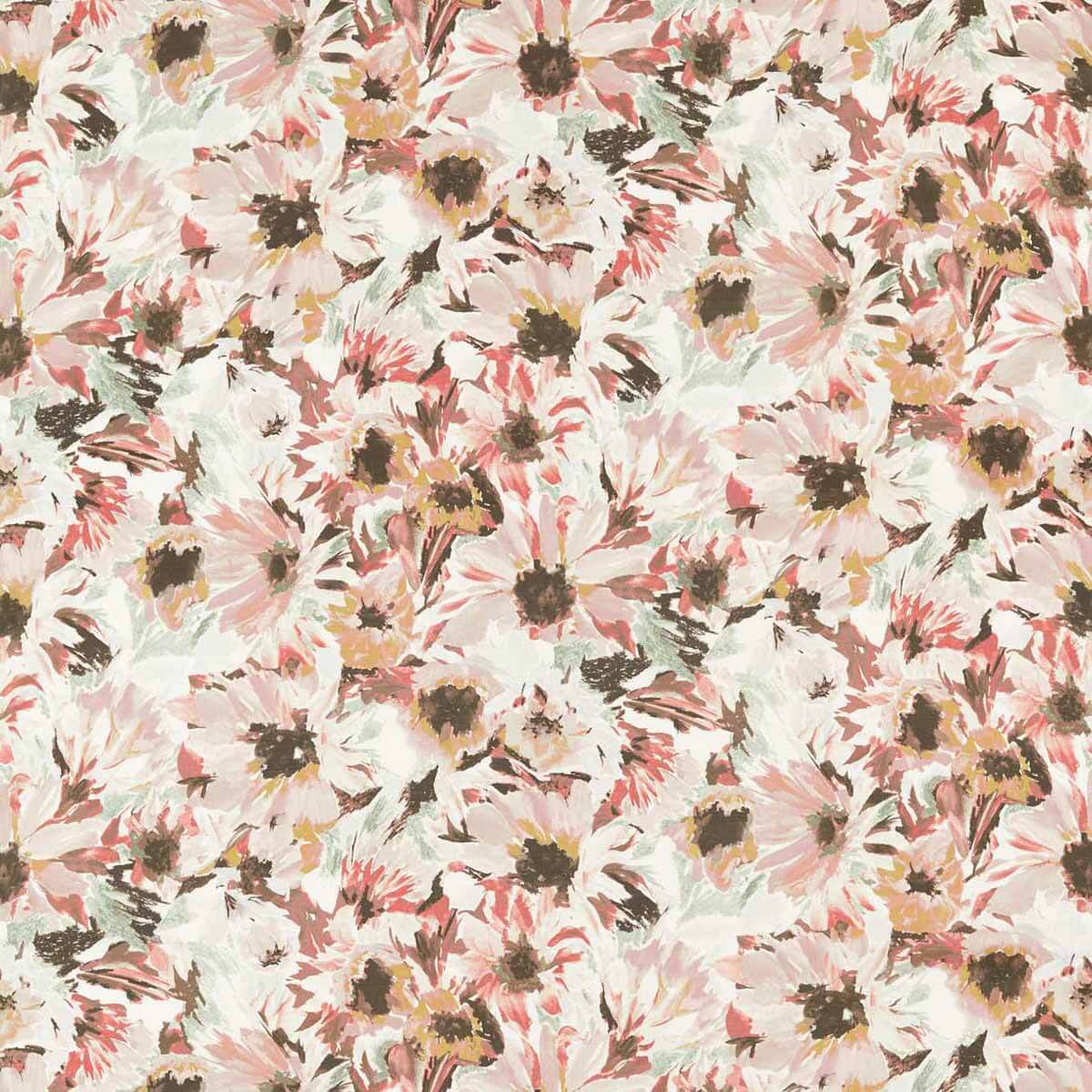 Helianthus 121074