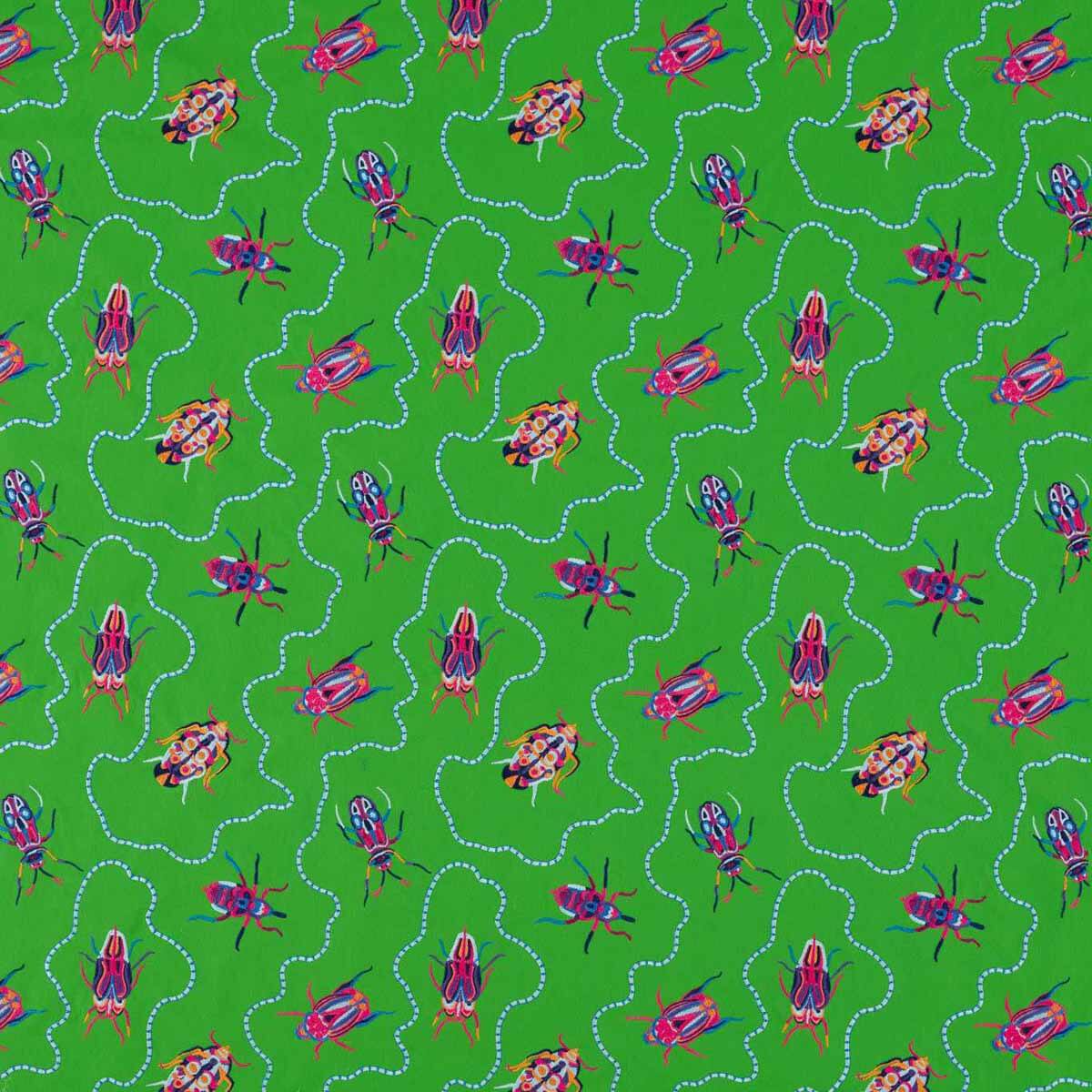Jewel Beetles 133983