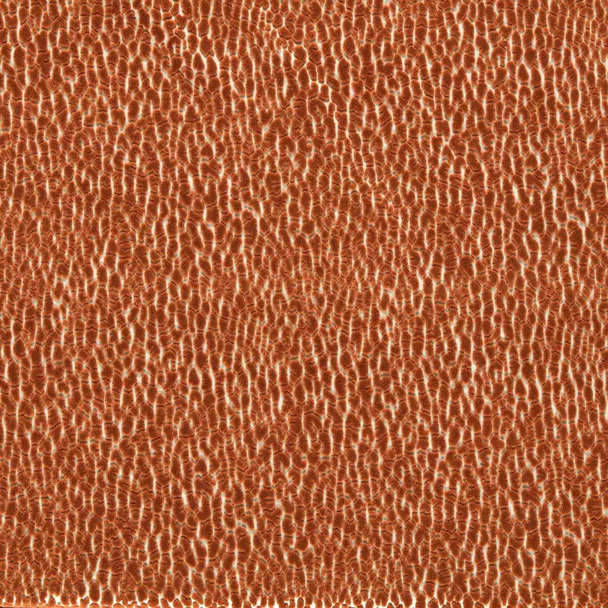 Lacuna 134034