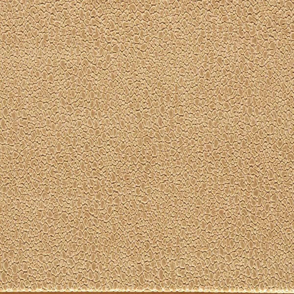 Lacuna 134036