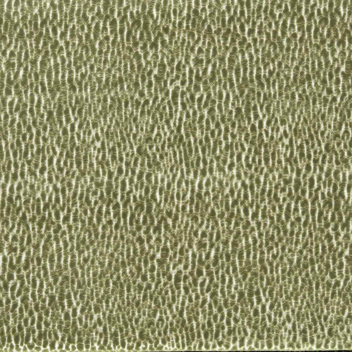Lacuna 134038