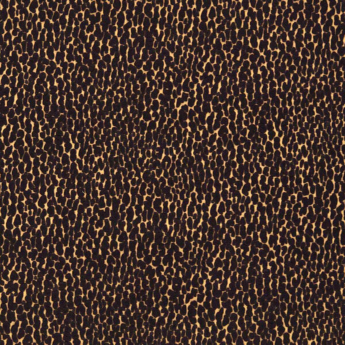 Lacuna 134040
