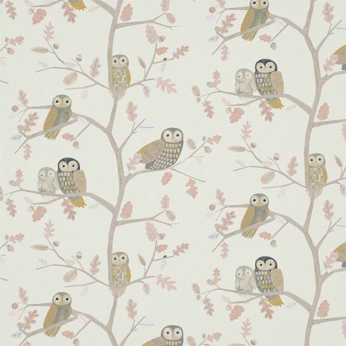 Little Owls 120934