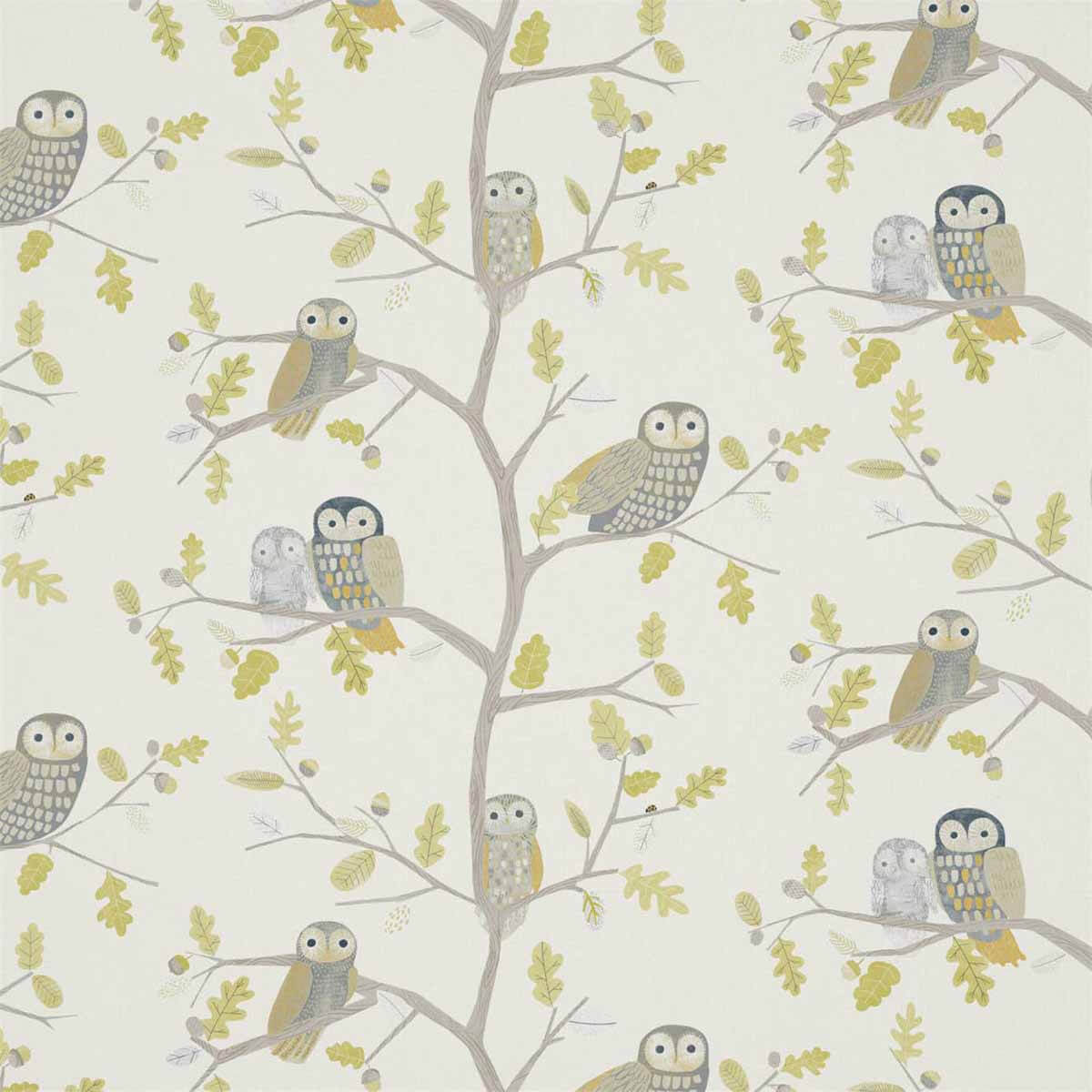 Little Owls 120935
