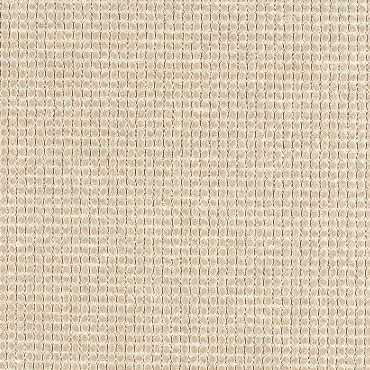 Loopy Spot 134204