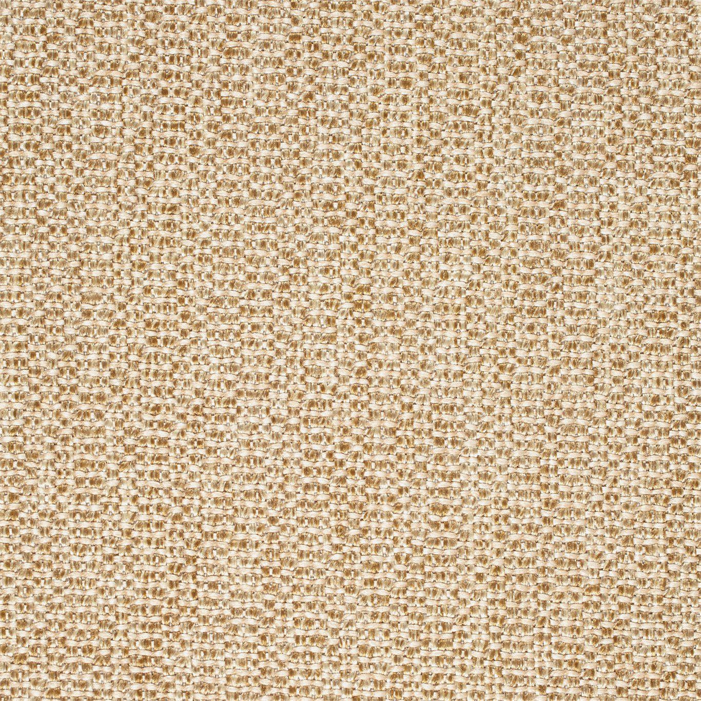 Piva HFRW142663