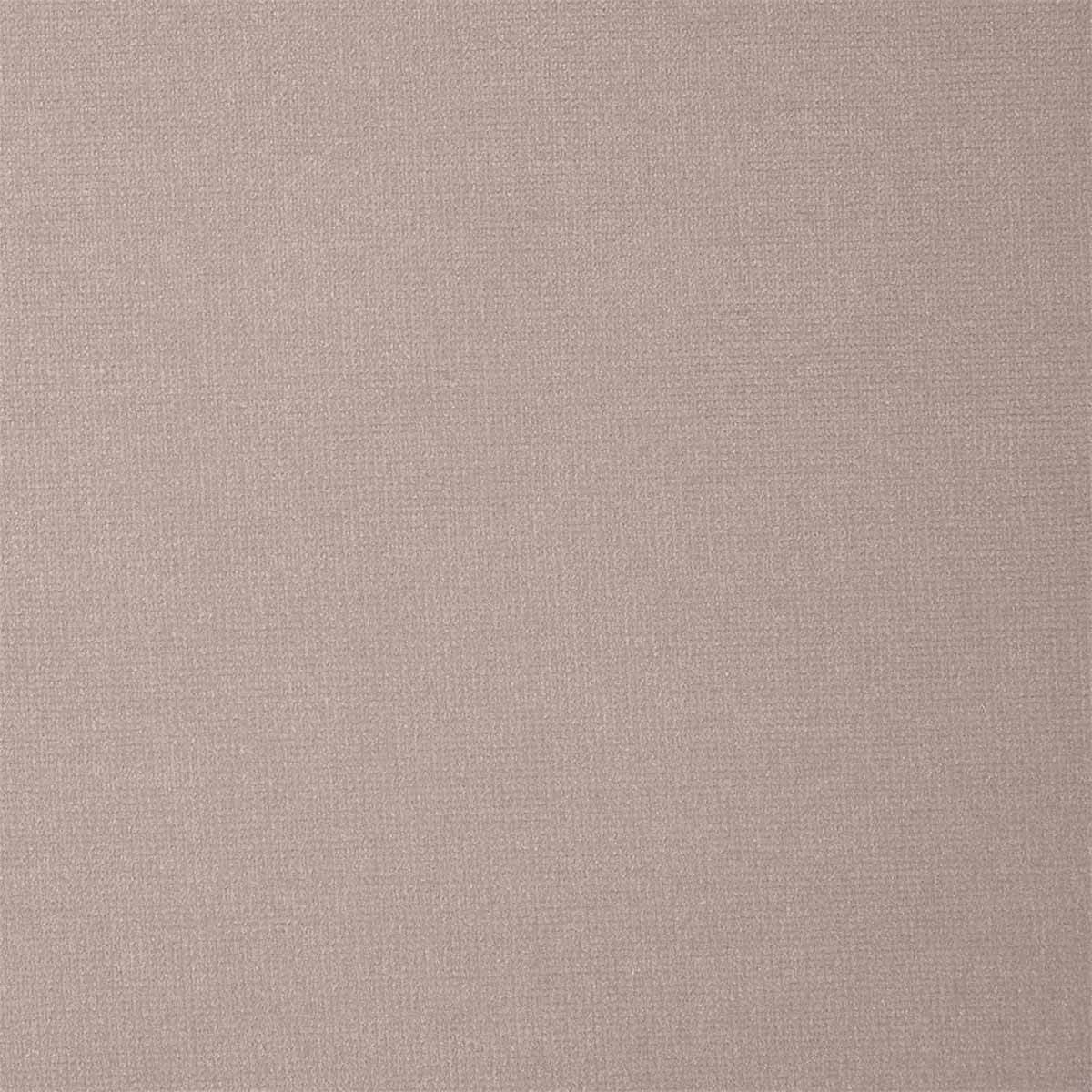 Plush Velvet 441007