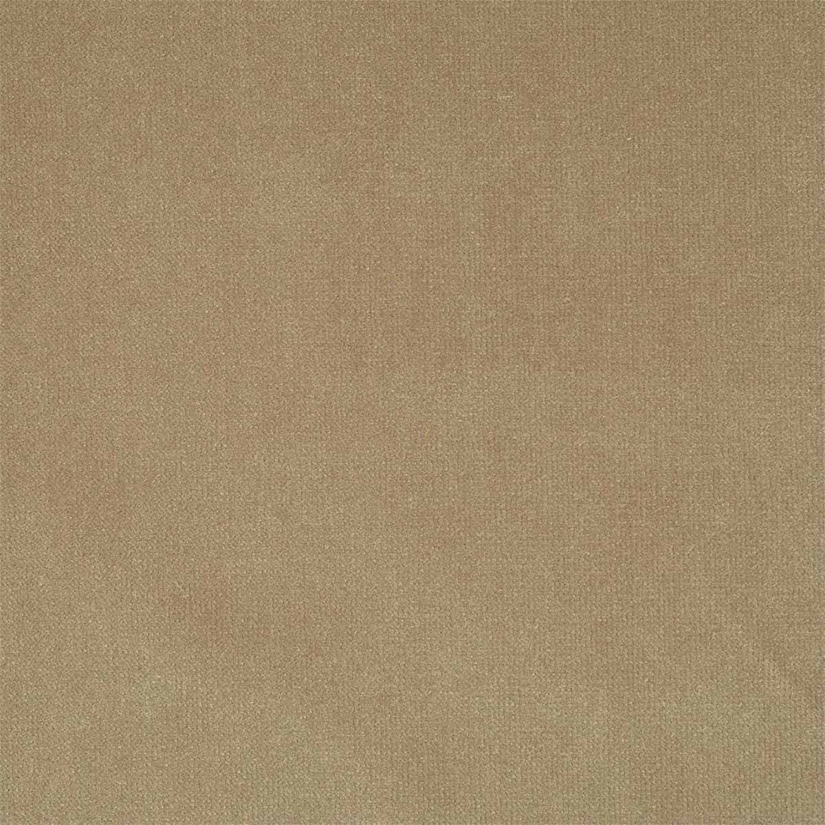 Plush Velvet 441008