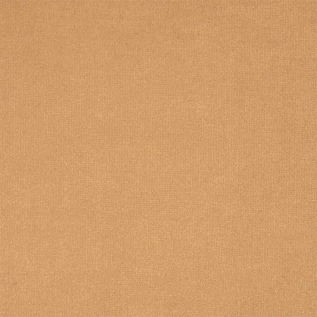 Plush Velvet 441009