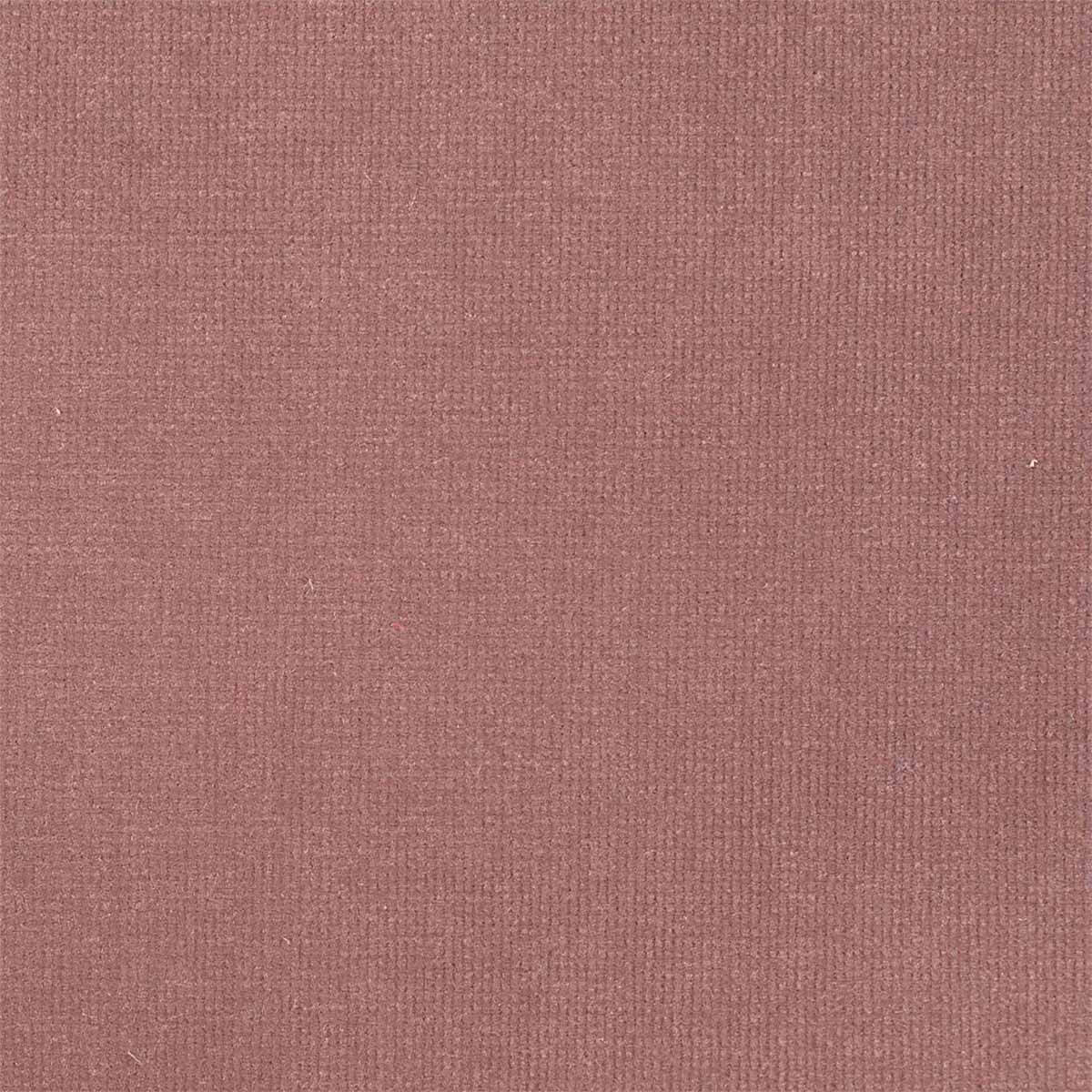 Plush Velvet 441011