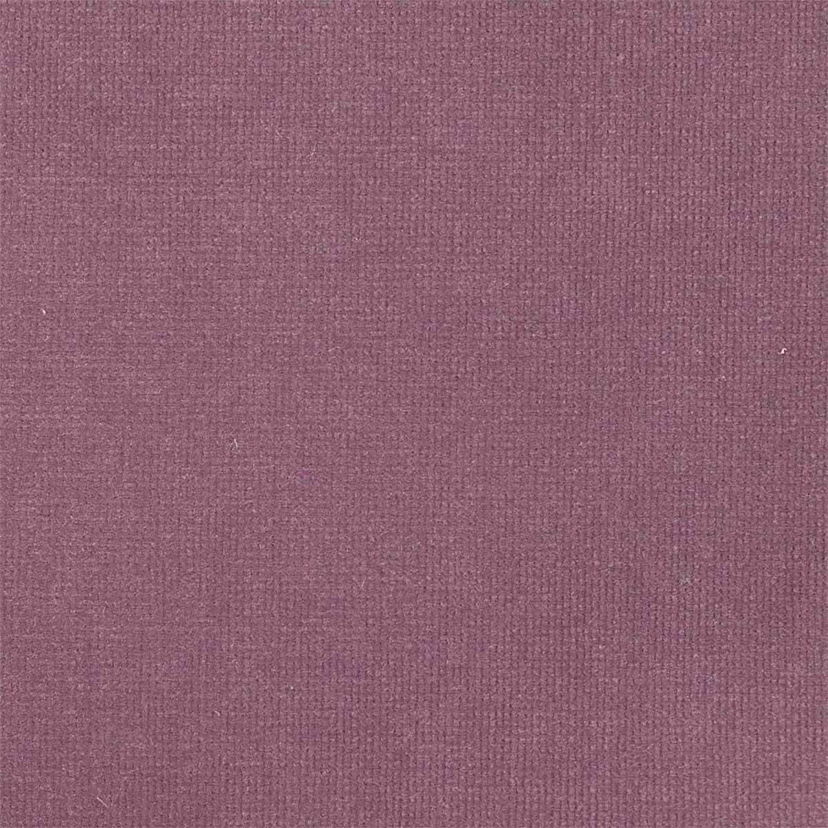 Plush Velvet 441013
