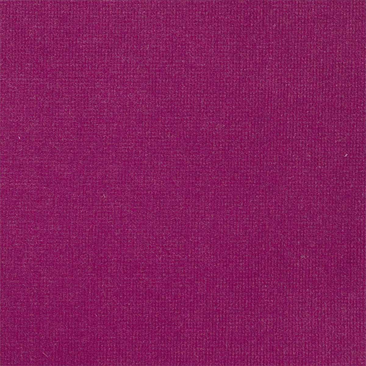 Plush Velvet 441015