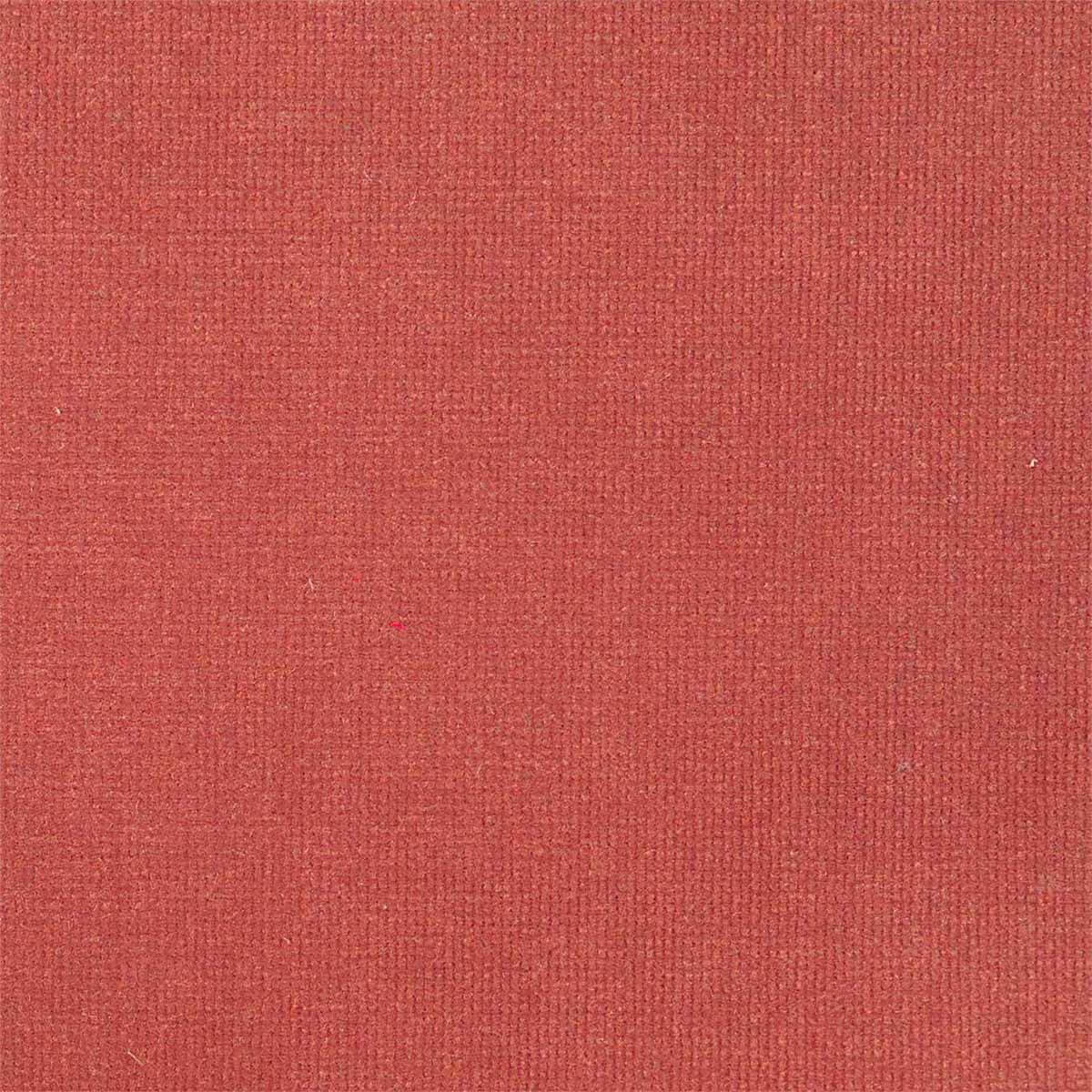 Plush Velvet 441017