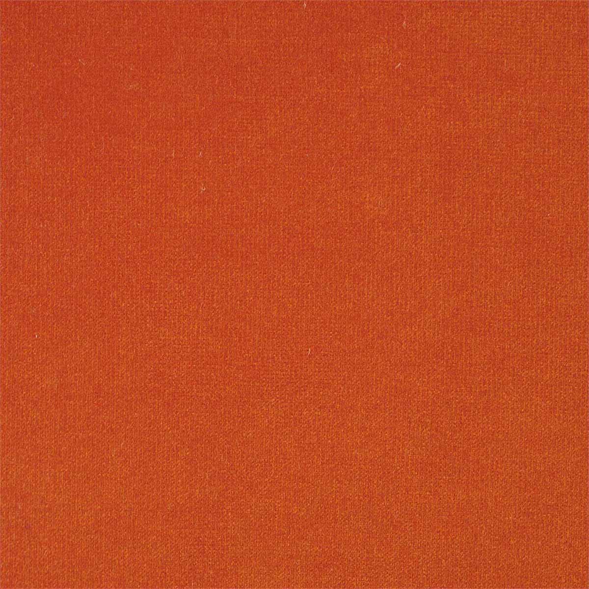 Plush Velvet 441019