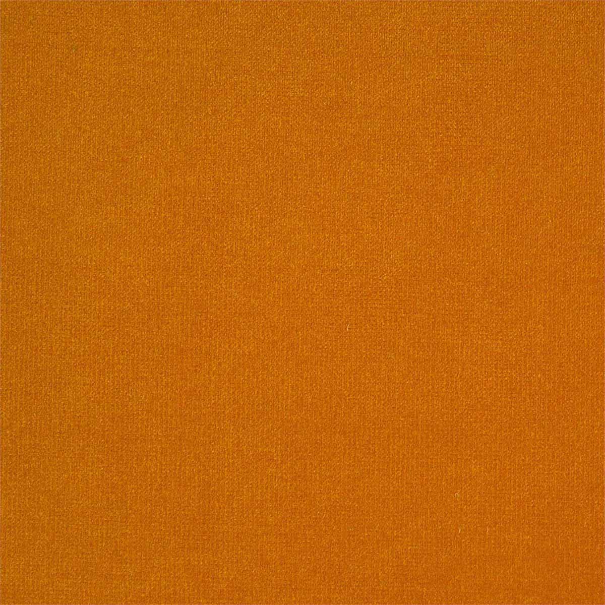 Plush Velvet 441021