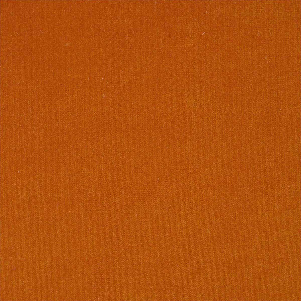 Plush Velvet 441022