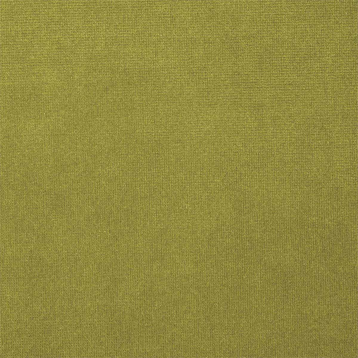 Plush Velvet 441023