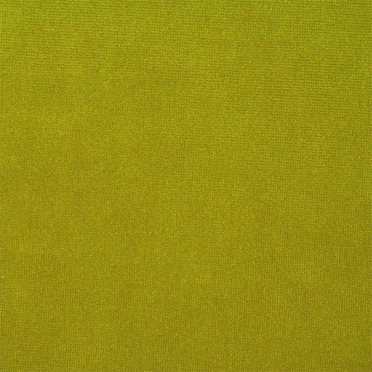 Plush Velvet 441025