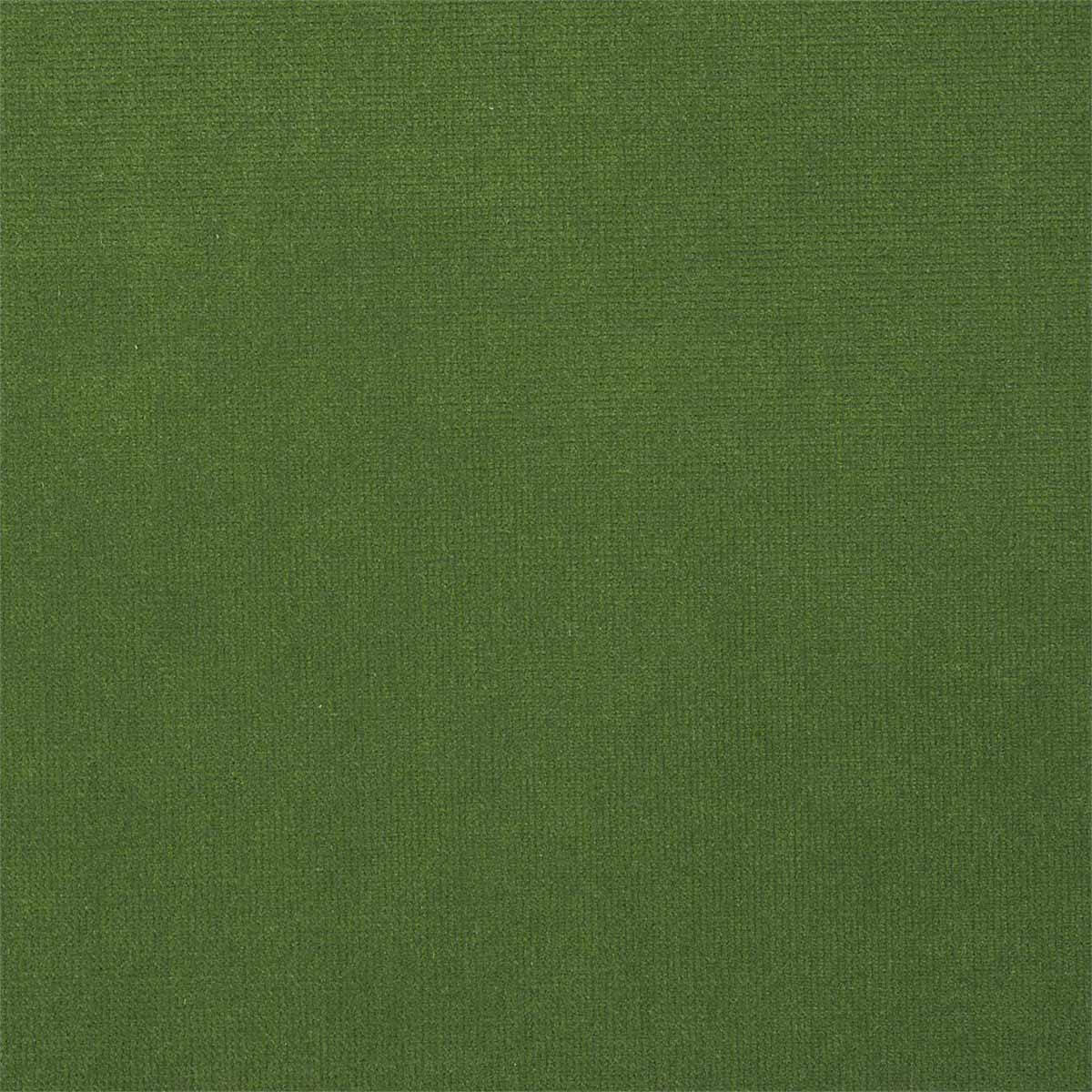 Plush Velvet 441026