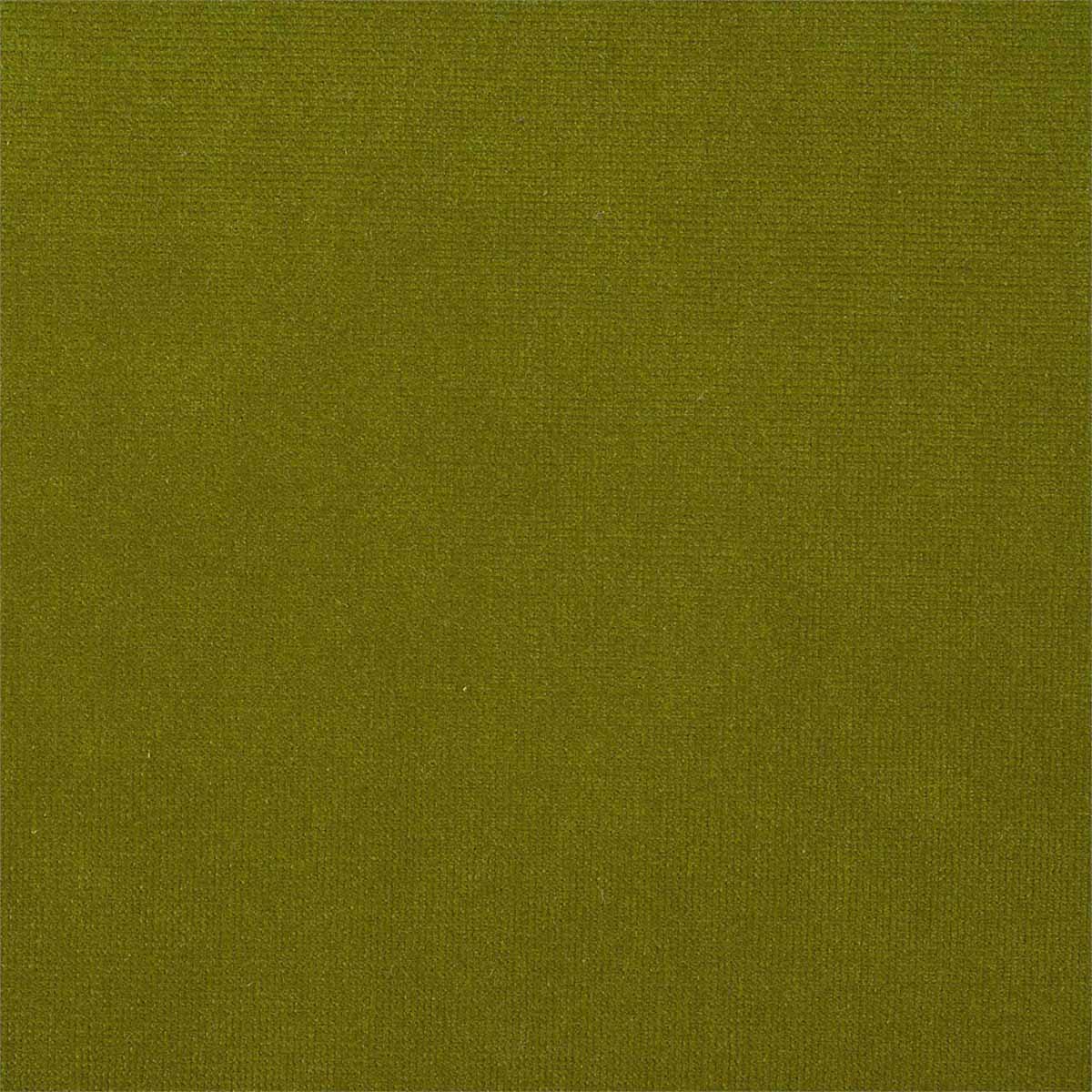 Plush Velvet 441027