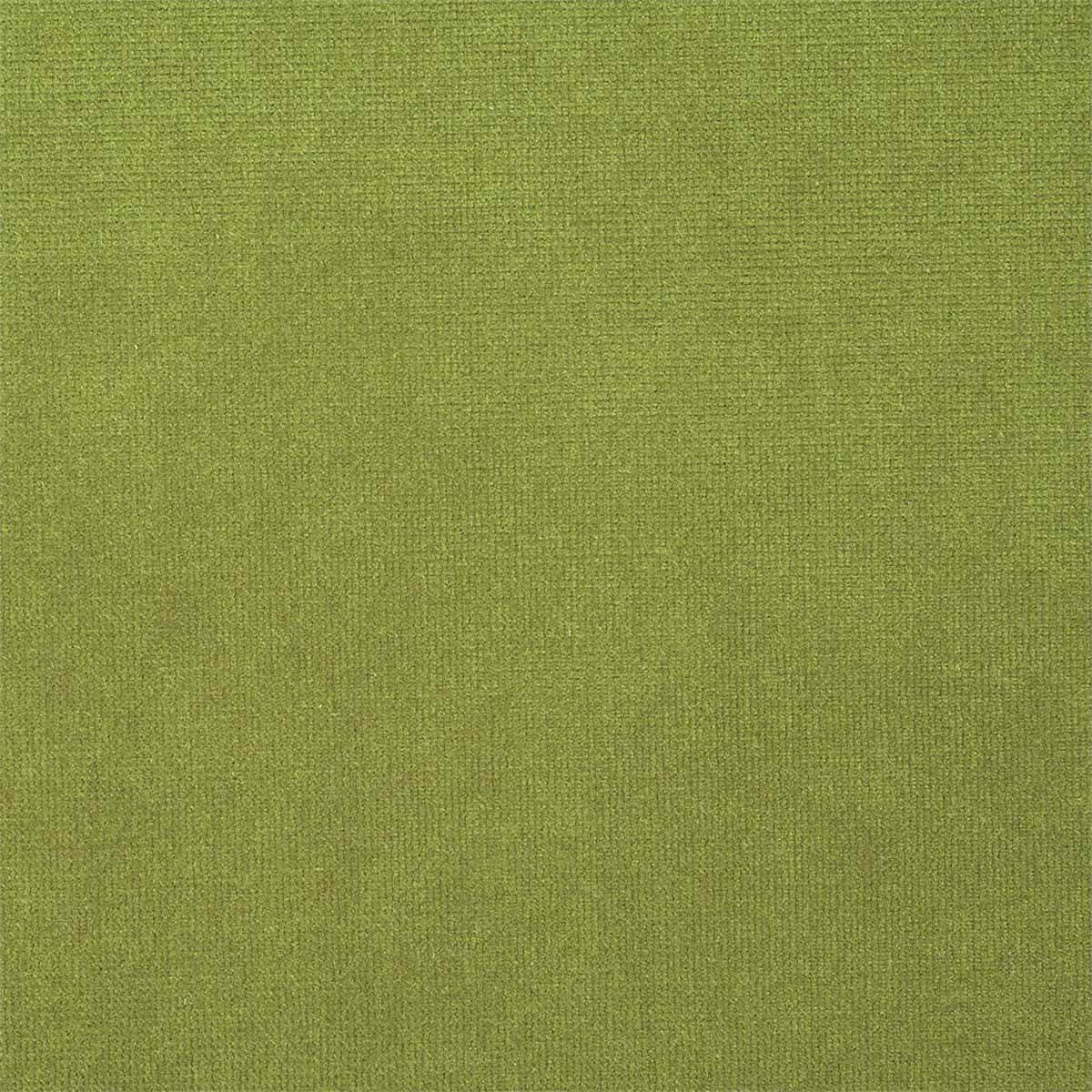 Plush Velvet 441028