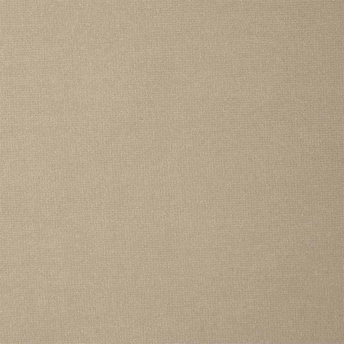 Plush Velvet 441029