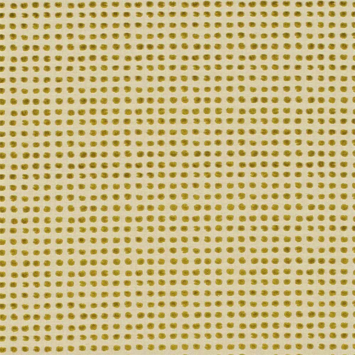 Polka 130684