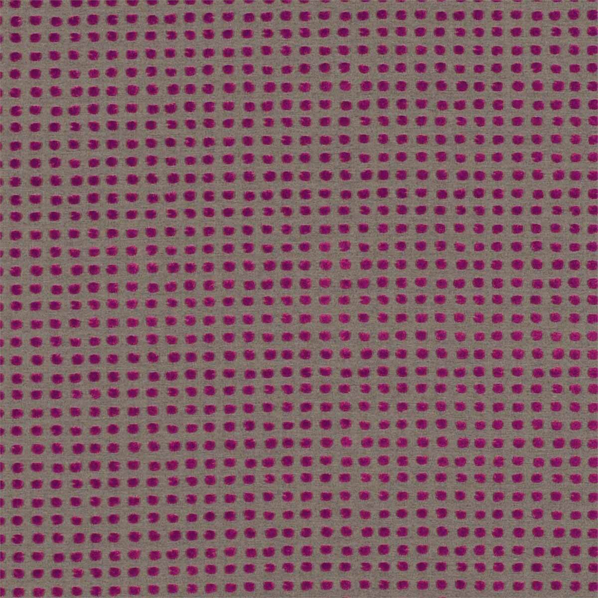 Polka 130691
