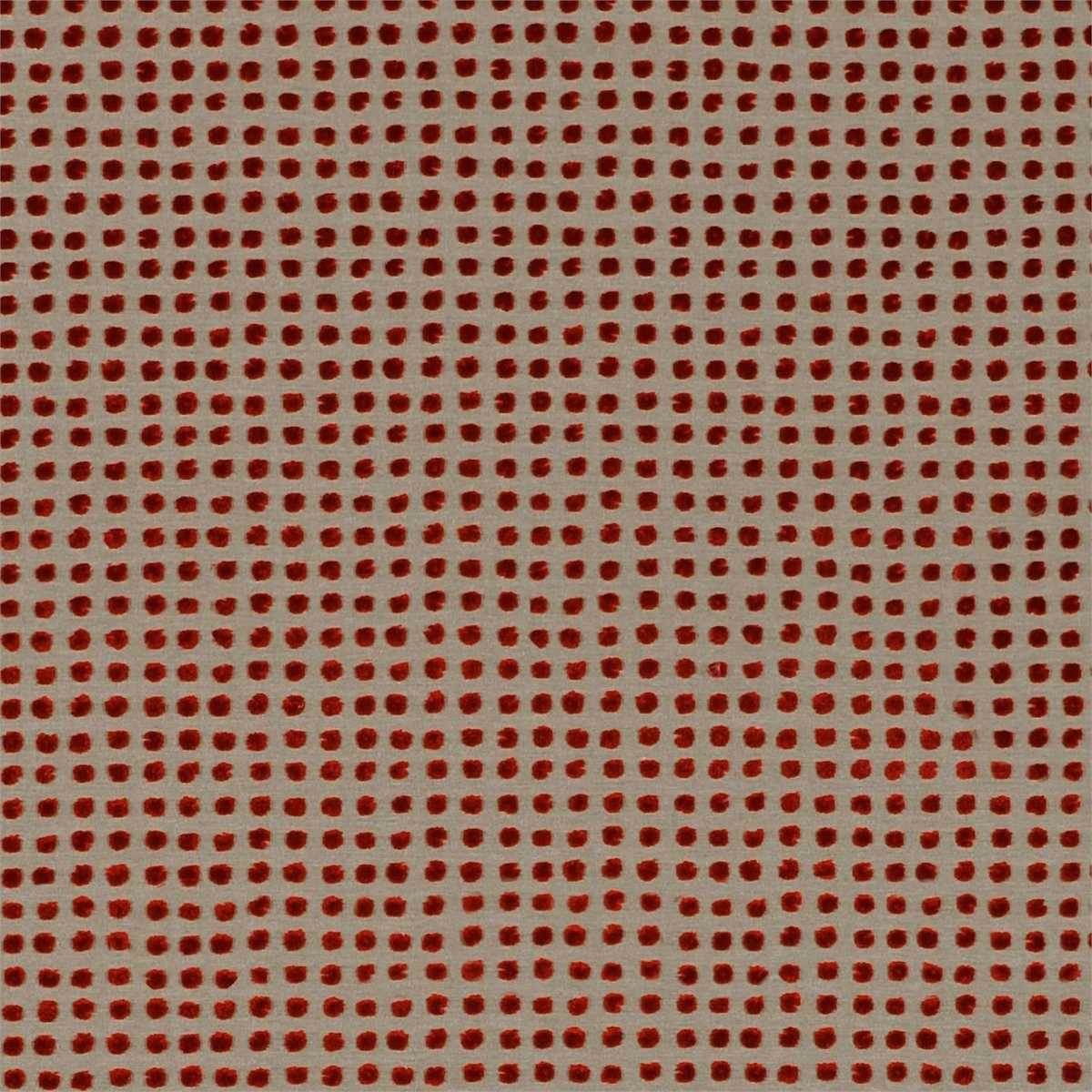 Polka 130692