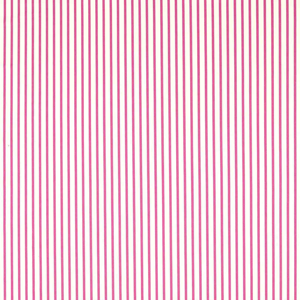 Ribbon Stripe 133984