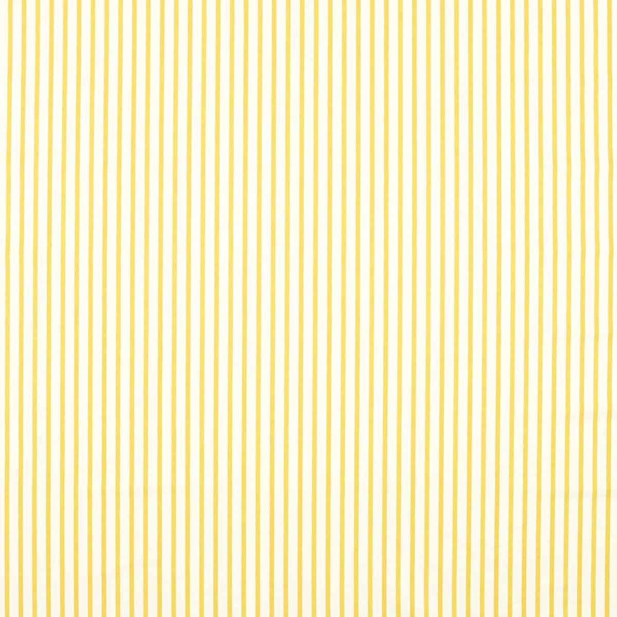 Ribbon Stripe 133985