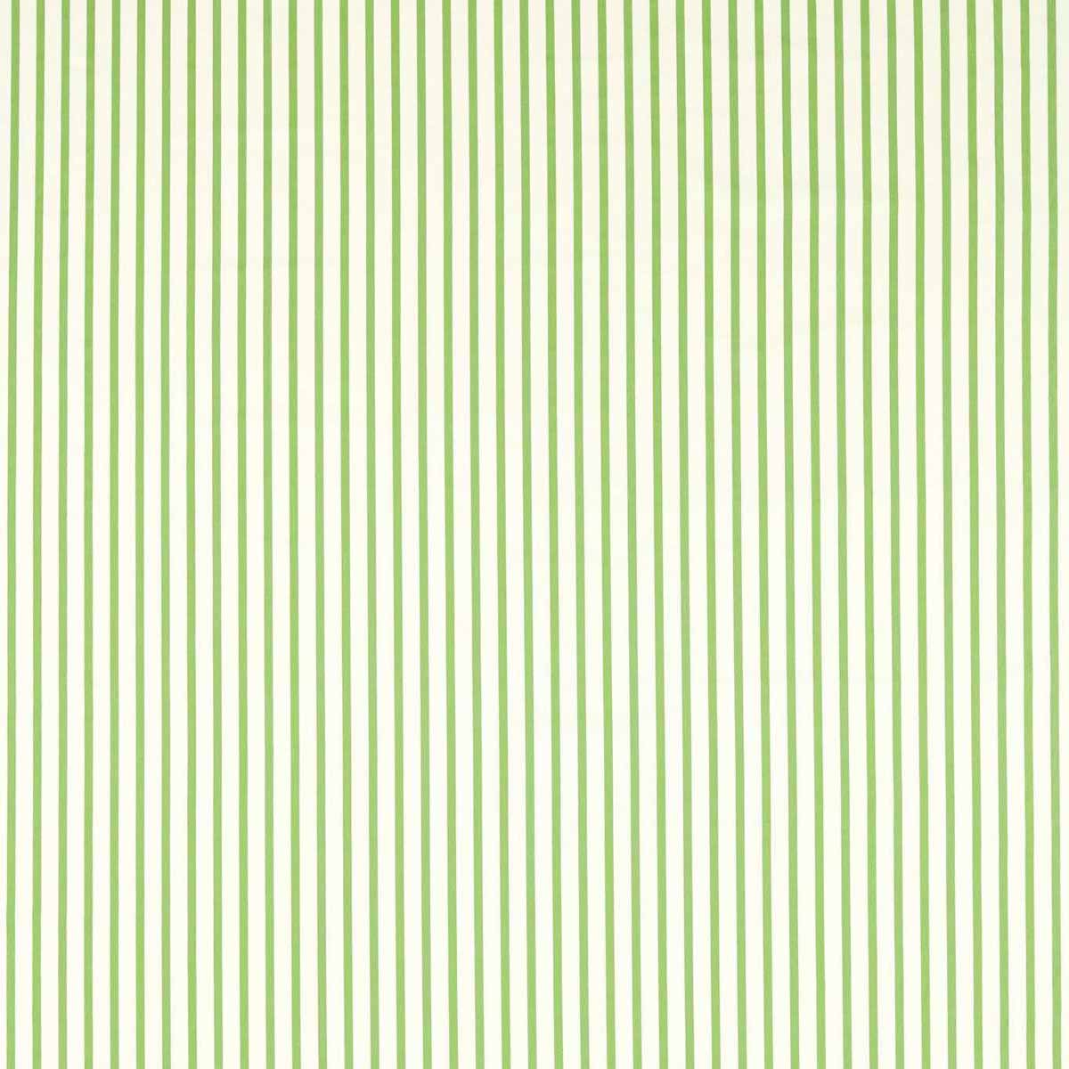 Ribbon Stripe 133987