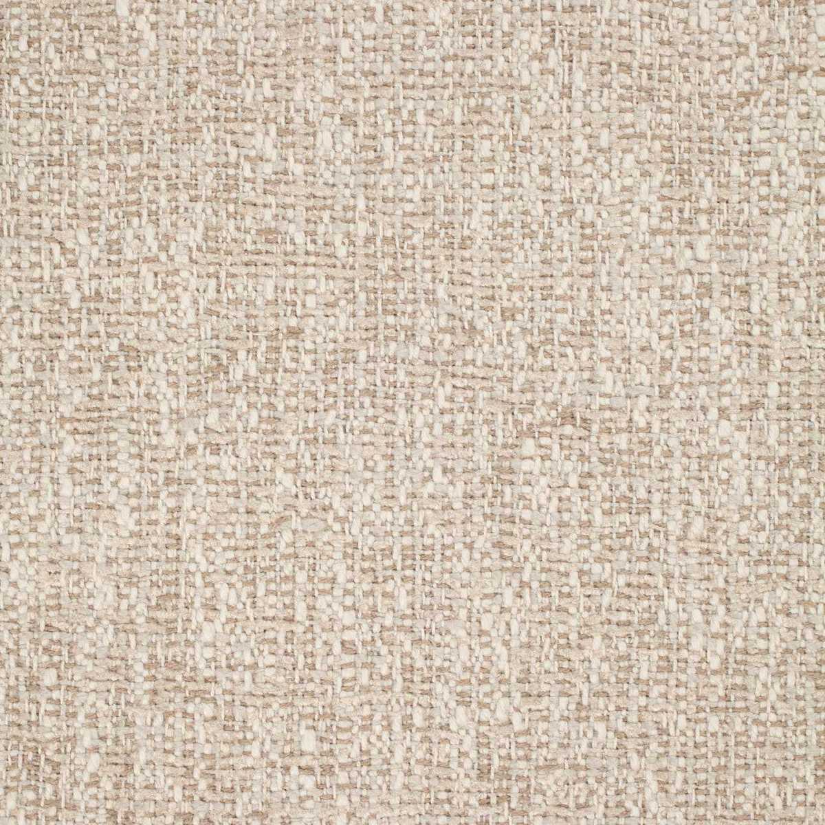 Speckle 131863