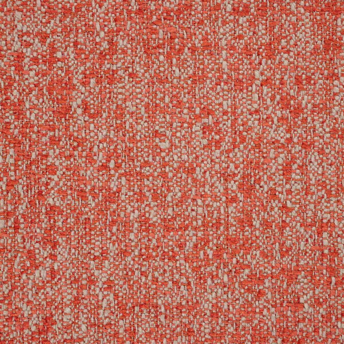 Speckle 131866